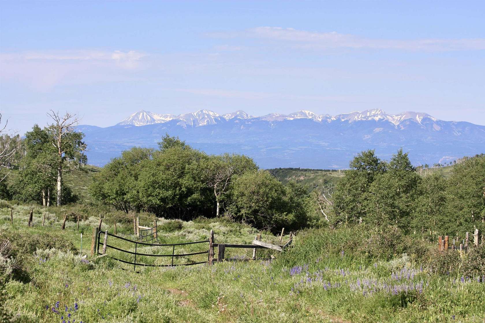 120 Acres of Recreational Land for Sale in Glade Park, Colorado