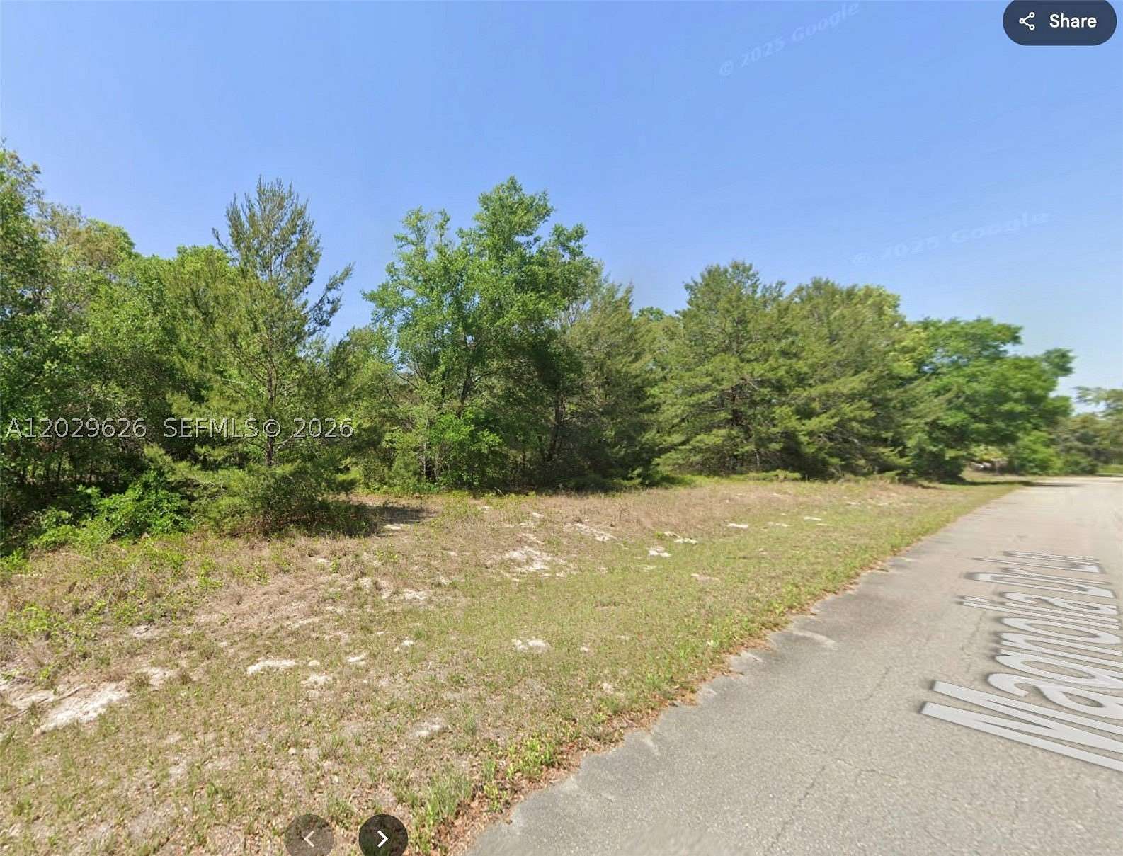 0.23 Acres of Residential Land for Sale in Belleview, Florida