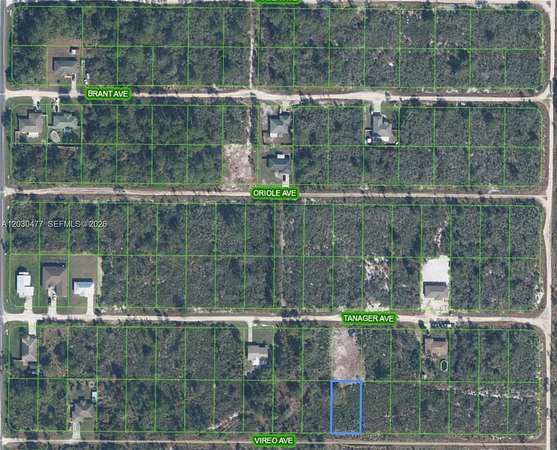 0.23 Acres of Residential Land for Sale in Sebring, Florida