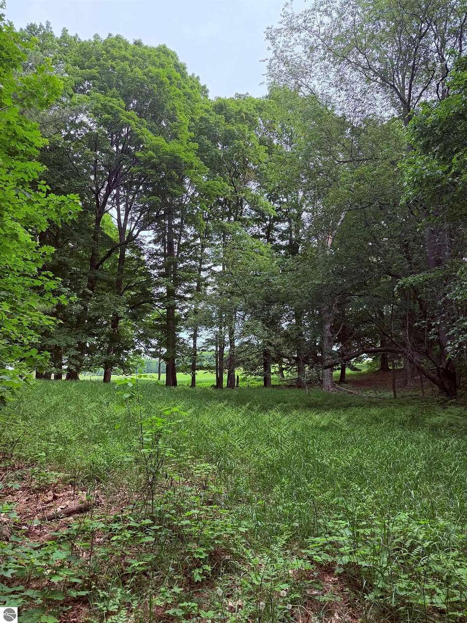 0.67 Acres of Residential Land for Sale in Lake Ann, Michigan