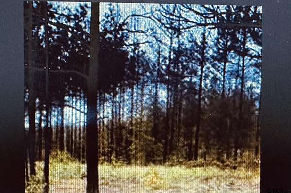 6 Acres of Residential Land for Sale in Overton, Texas