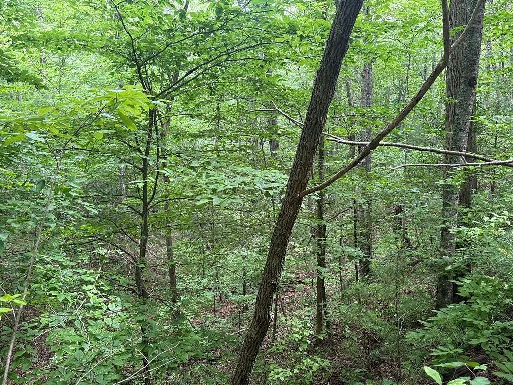 1 Acre of Land for Sale in Blairsville, Georgia