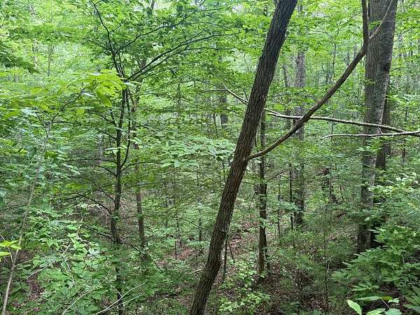 1 Acre of Land for Sale in Blairsville, Georgia