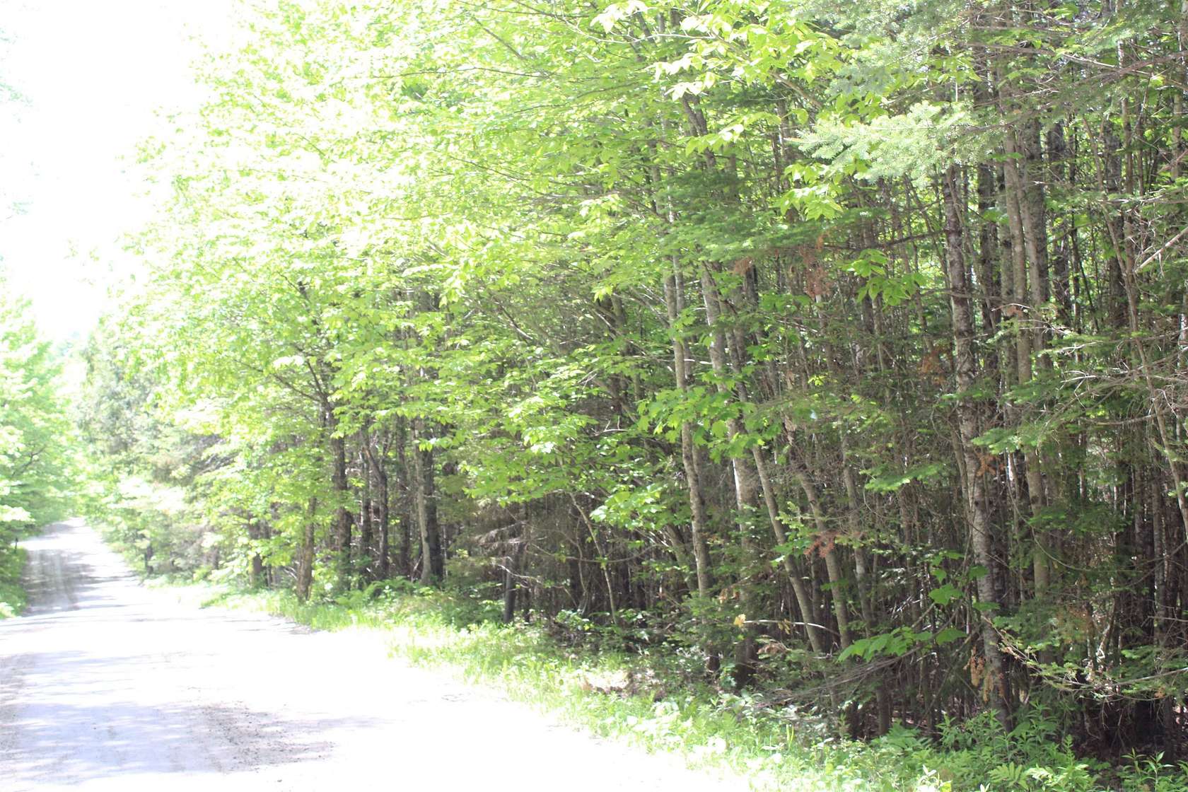 10 Acres of Residential Land for Sale in Concord, Vermont