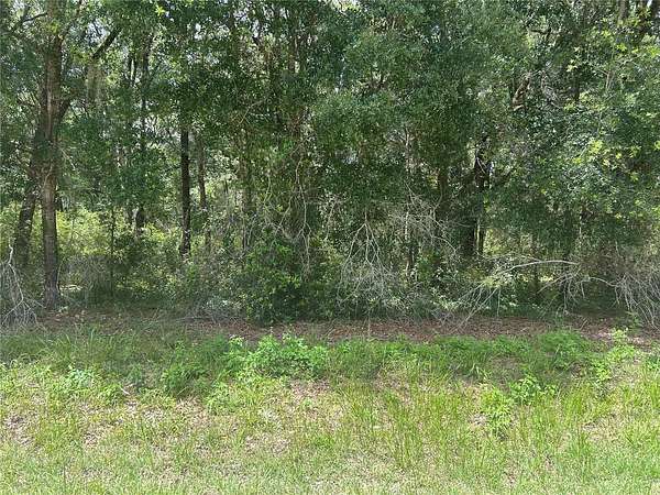 1.5 Acres of Residential Land for Sale in Dunnellon, Florida