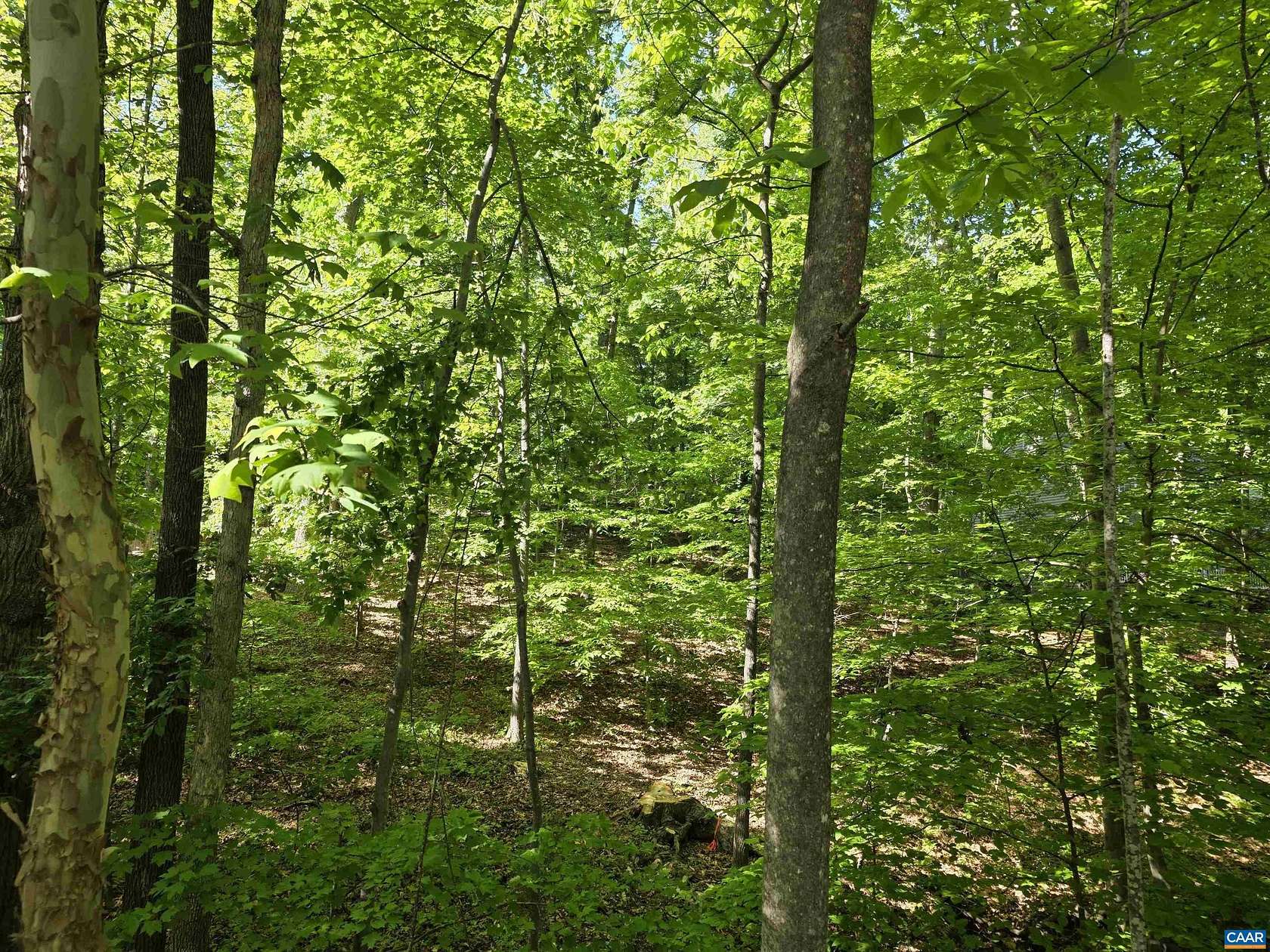0.5 Acres of Residential Land for Sale in Palmyra, Virginia