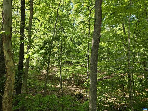 0.5 Acres of Residential Land for Sale in Palmyra, Virginia