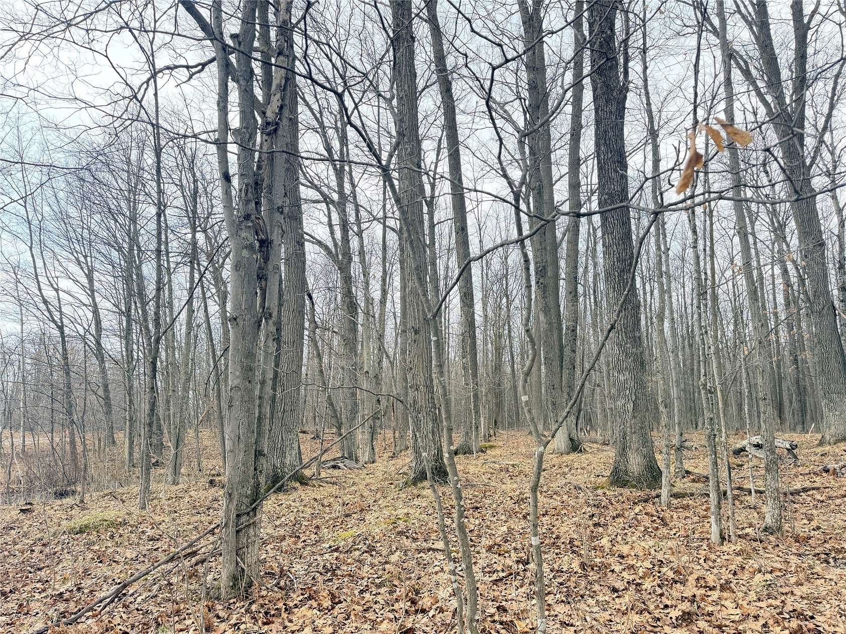 10 Acres of Land for Sale in Glen Flora, Wisconsin