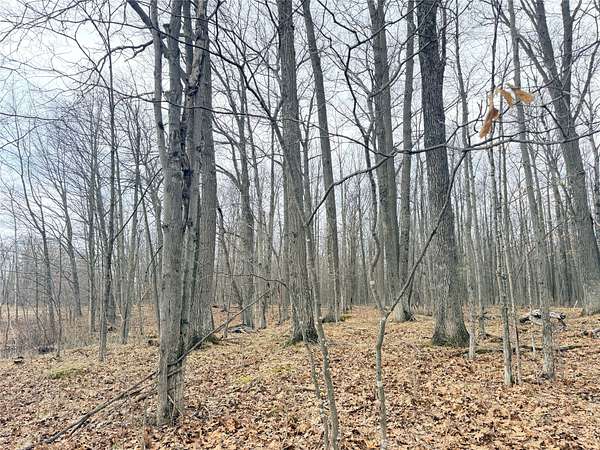10 Acres of Land for Sale in Glen Flora, Wisconsin