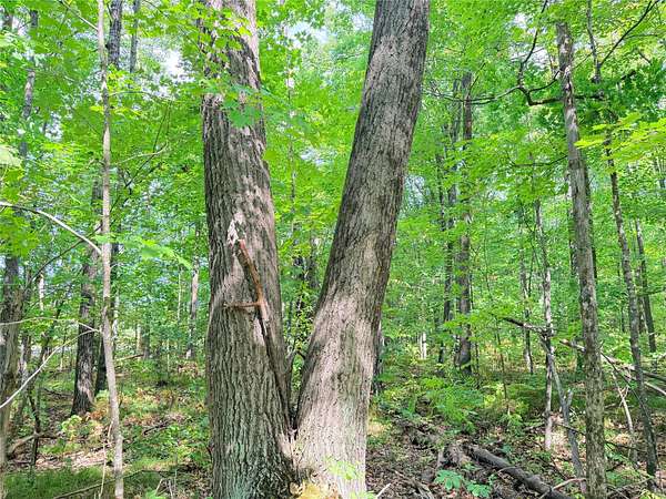10 Acres of Land for Sale in Glen Flora, Wisconsin