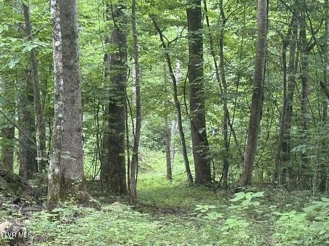5 Acres of Land for Sale in Marshall, North Carolina
