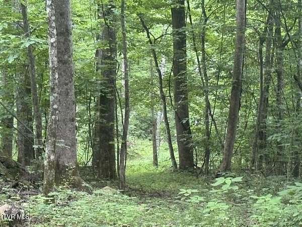 5 Acres of Land for Sale in Marshall, North Carolina