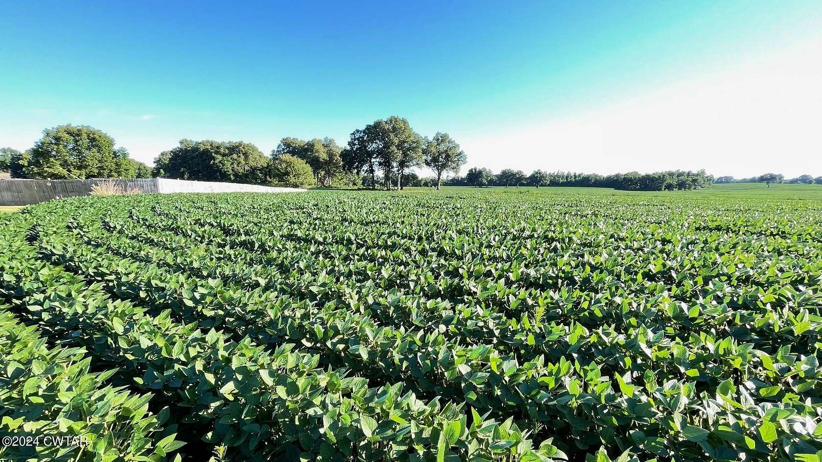 127 Acres of Mixed-Use Land for Sale in Brownsville, Tennessee