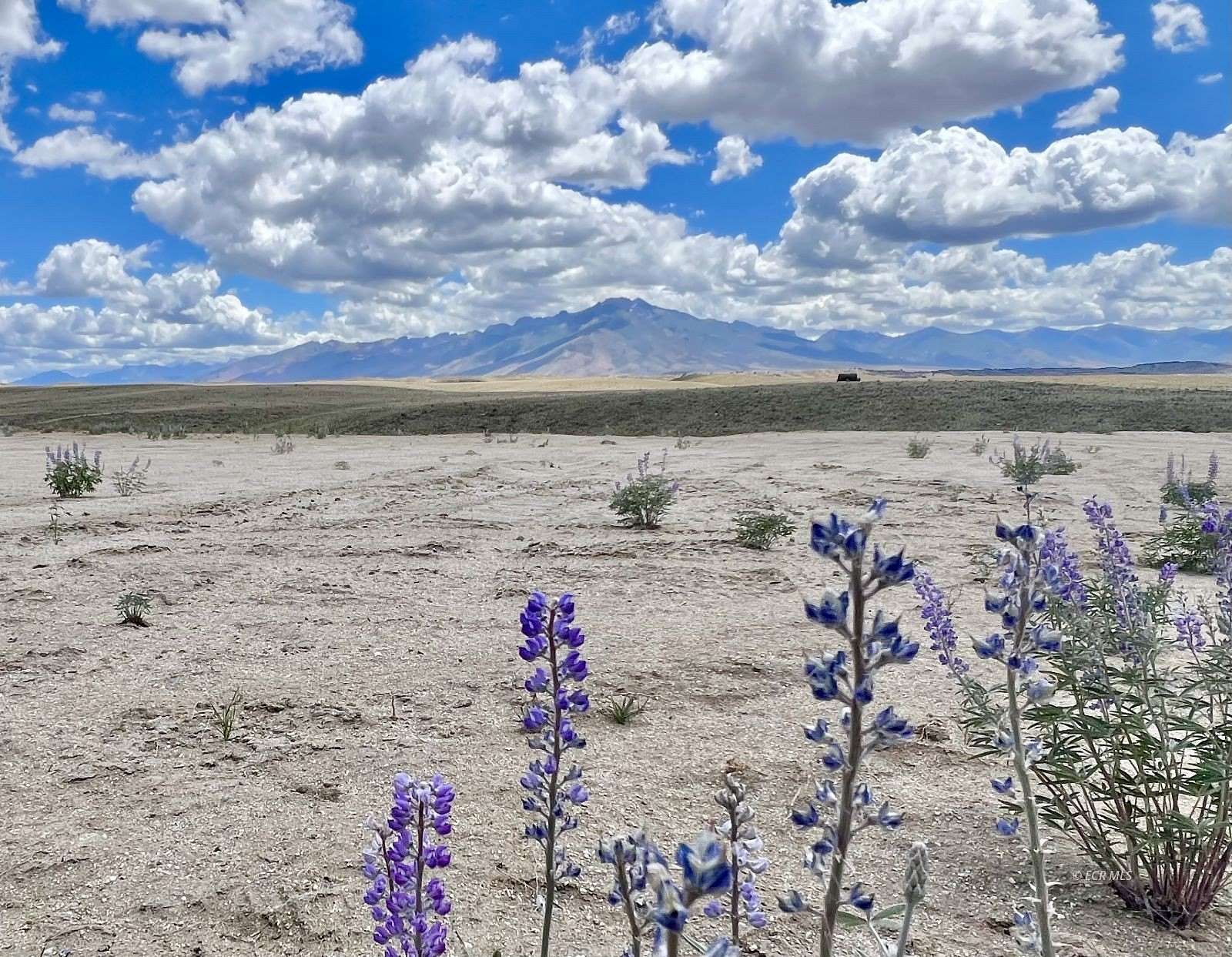 51.5 Acres of Land for Sale in Spring Creek, Nevada