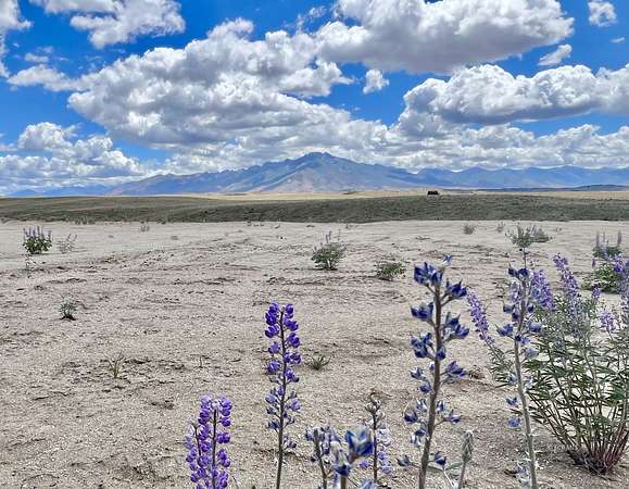 51.5 Acres of Land for Sale in Spring Creek, Nevada