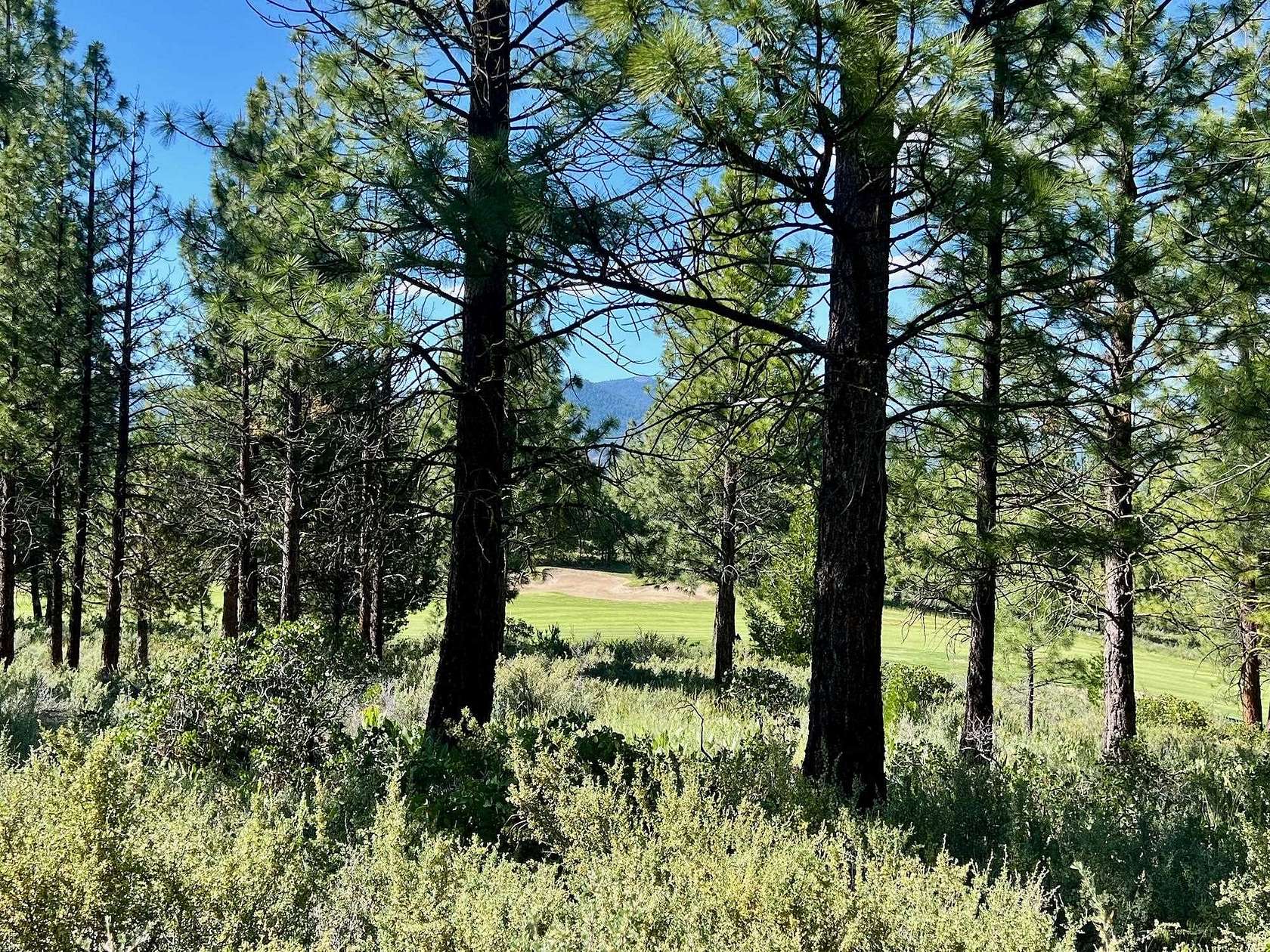 0.71 Acres of Residential Land for Sale in Portola, California