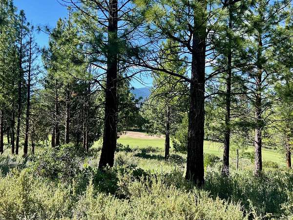 0.71 Acres of Residential Land for Sale in Portola, California