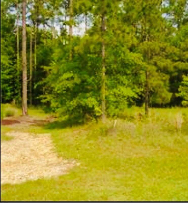 2 Acres of Residential Land for Sale in Moultrie, Georgia
