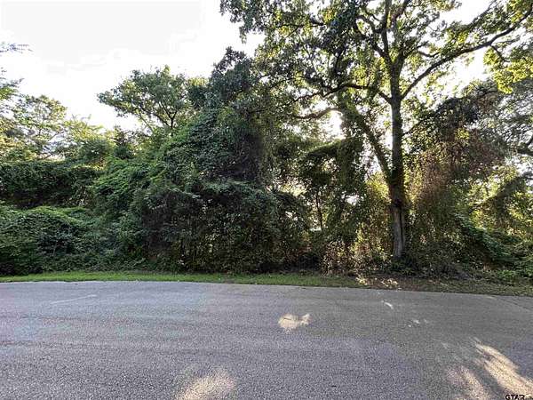 0.25 Acres of Residential Land for Sale in Flint, Texas