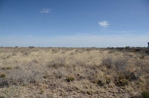 0.98 Acres of Land for Sale in McIntosh, New Mexico