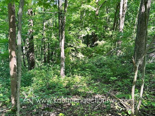 19.7 Acres of Land for Auction in Littleton, West Virginia