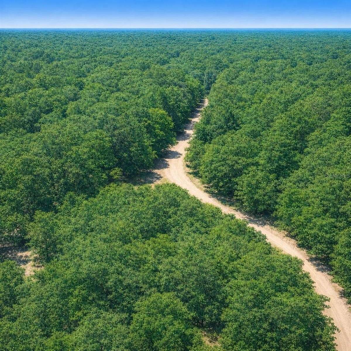 0.23 Acres of Residential Land for Sale in Ocala, Florida