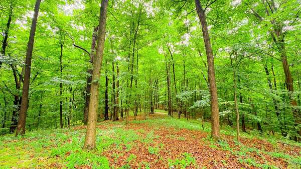 42.9 Acres of Recreational Land for Sale in Franklin Furnace, Ohio