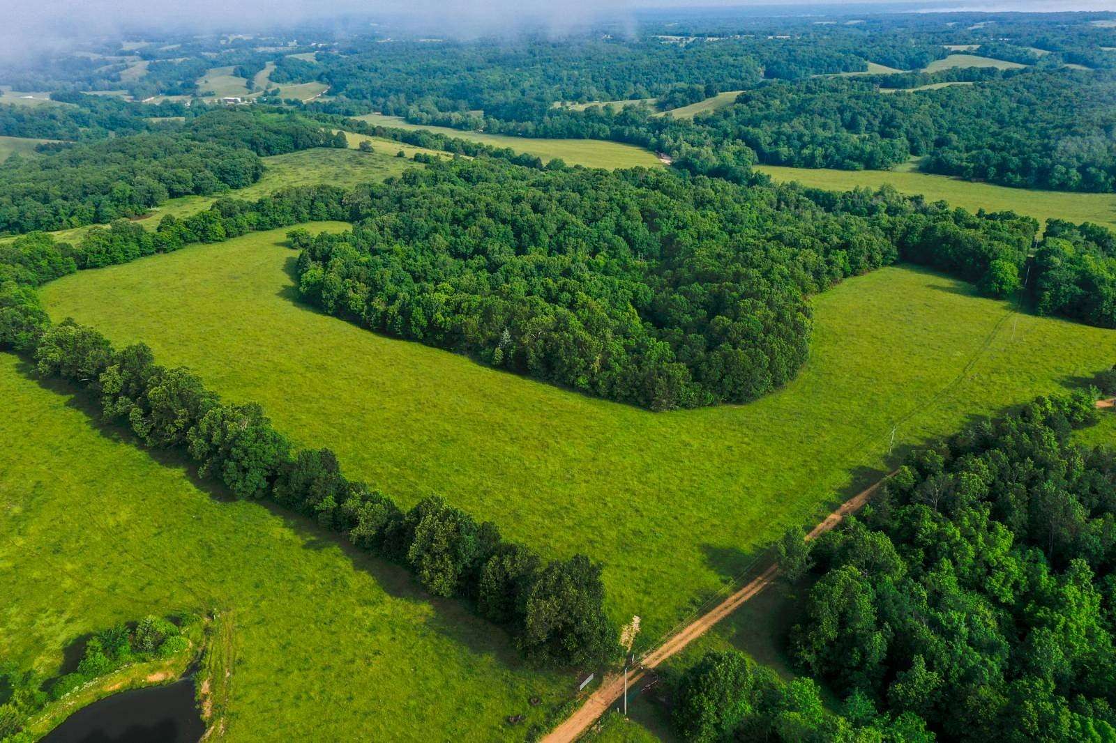 118 Acres of Land for Sale in Seymour, Missouri