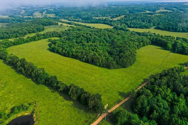 118 Acres of Land for Sale in Seymour, Missouri