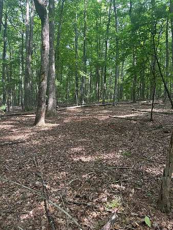5 Acres of Residential Land for Sale in Galax, Virginia