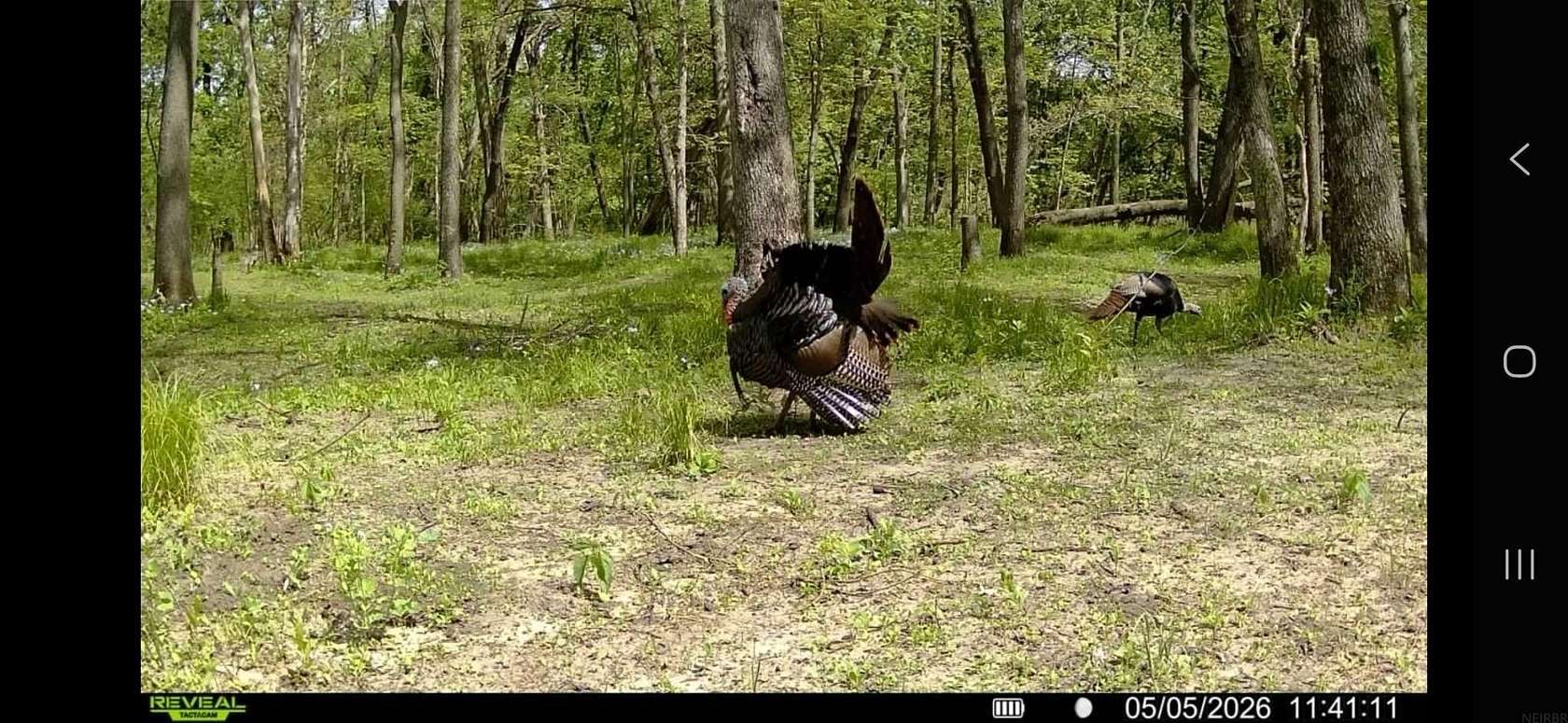 40 Acres of Recreational Land for Sale in Shell Rock, Iowa