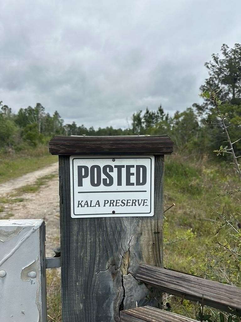 111 Acres of Recreational & Residential Land for Sale in Crawfordville, Florida
