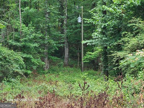 4 Acres of Residential Land for Sale in Macon, Georgia