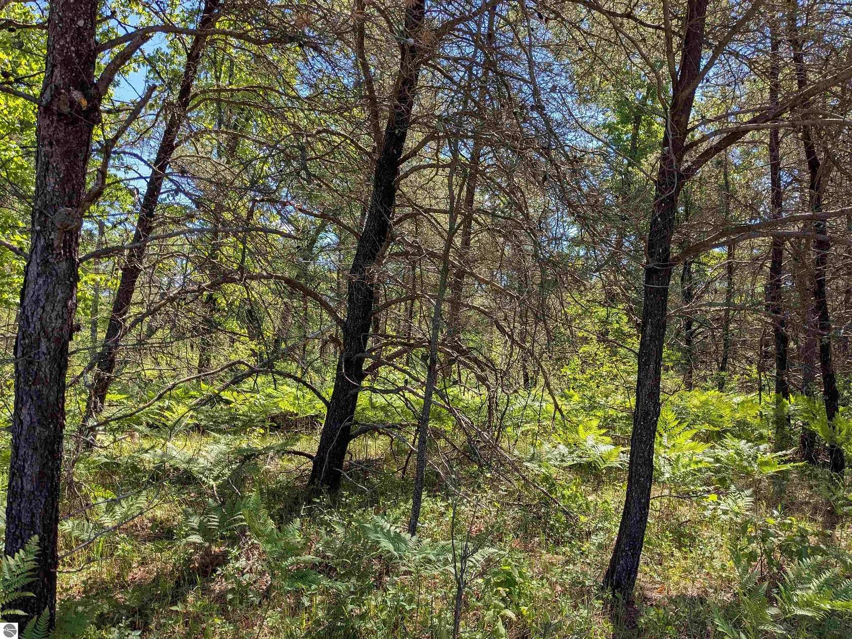4.63 Acres of Residential Land for Sale in Bitely, Michigan