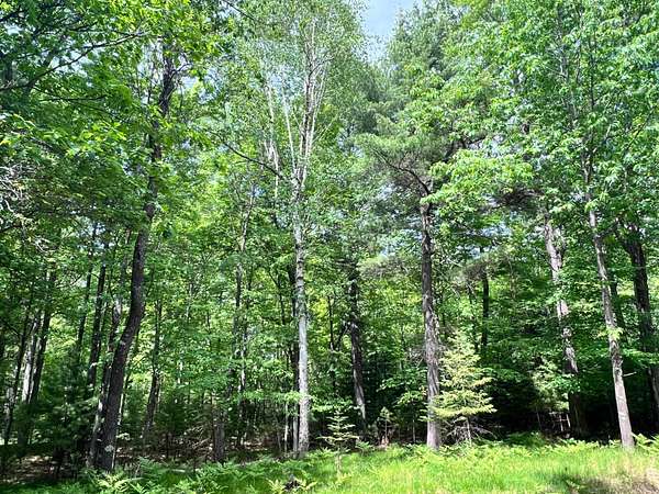 2.16 Acres of Residential Land for Sale in Eagle River, Wisconsin