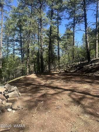 0.66 Acres of Residential Land for Sale in Lakeside, Arizona