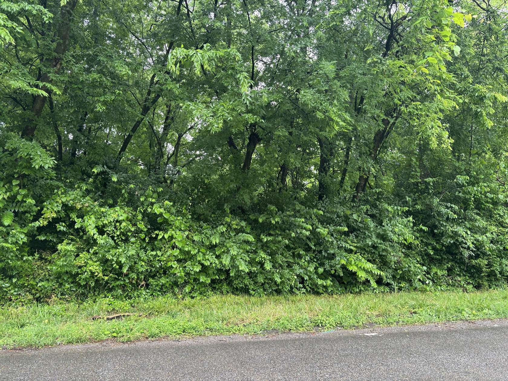 0.29 Acres of Land for Sale in Cleveland, Tennessee