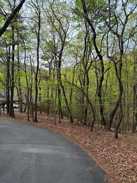 3 Acres of Residential Land for Sale in Big Canoe, Georgia
