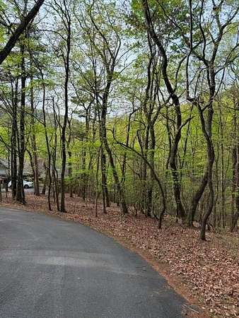 3 Acres of Residential Land for Sale in Big Canoe, Georgia