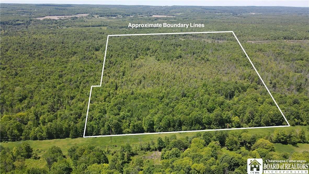 167 Acres of Recreational Land for Sale in Stockton, New York