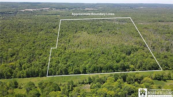 167 Acres of Recreational Land for Sale in Stockton, New York