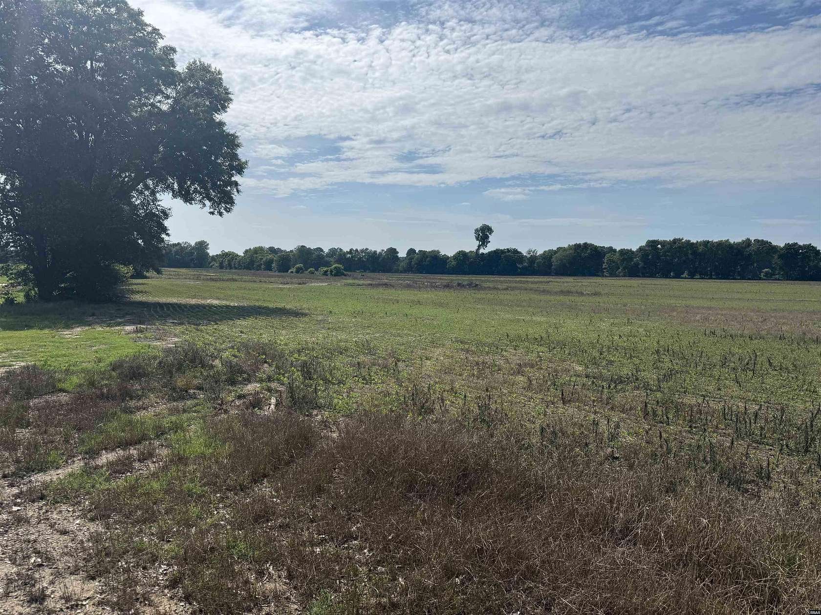 360 Acres of Land for Sale in Union City, Tennessee