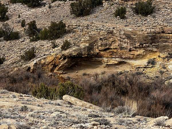 36 Acres of Land for Sale in St. Johns, Arizona