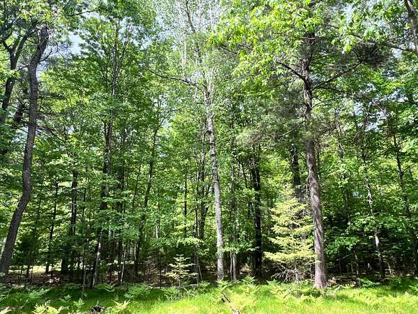 0.51 Acres of Land for Sale in Eagle River, Wisconsin