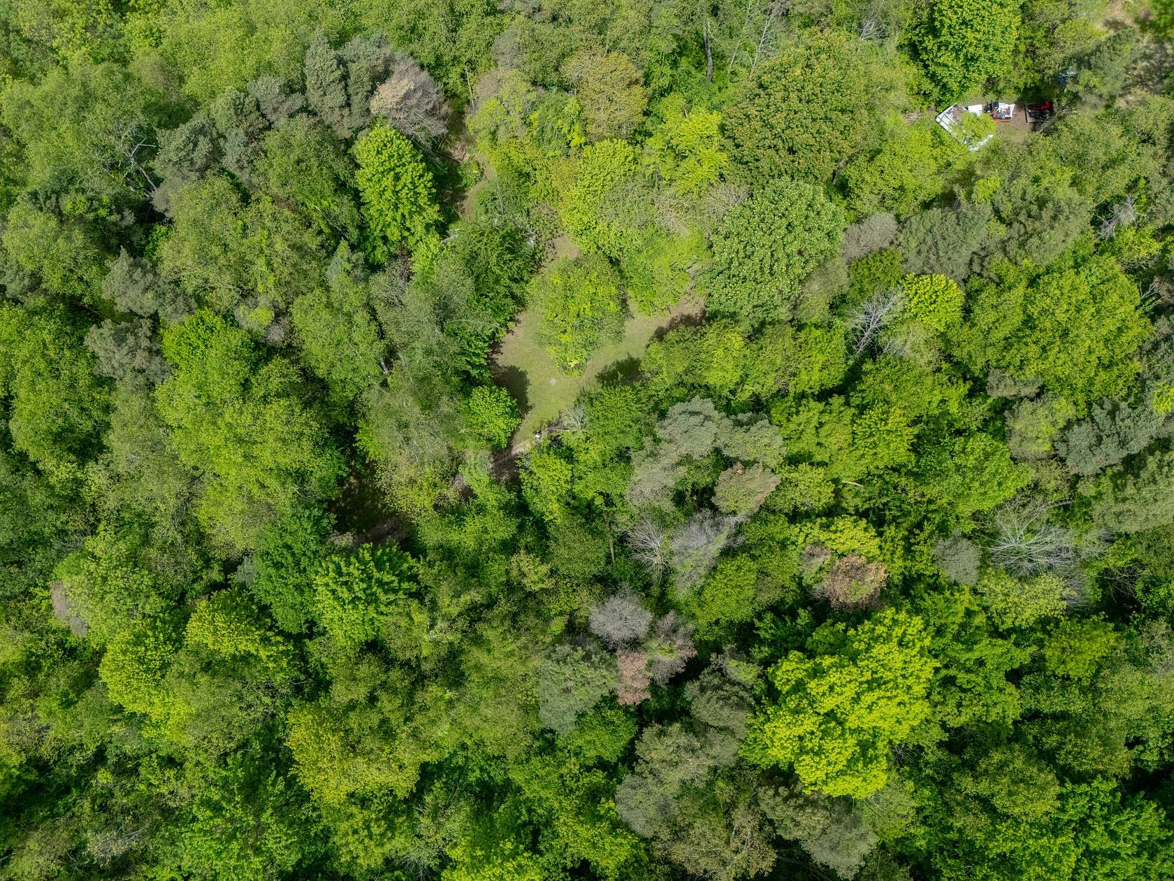 4.38 Acres of Residential Land for Sale in Delton, Michigan