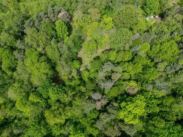 4.38 Acres of Residential Land for Sale in Delton, Michigan