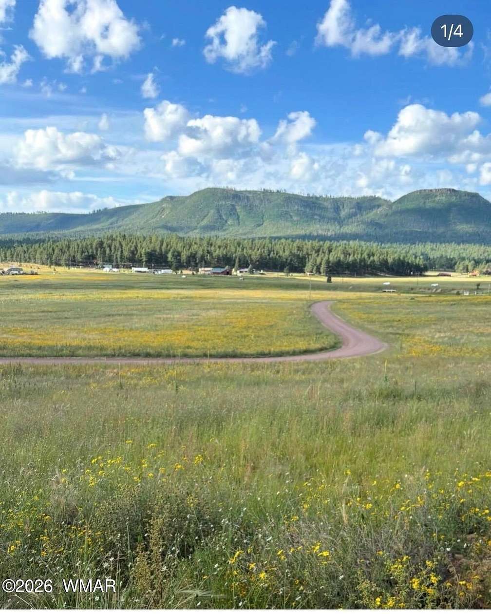1.68 Acres of Residential Land for Sale in Alpine, Arizona
