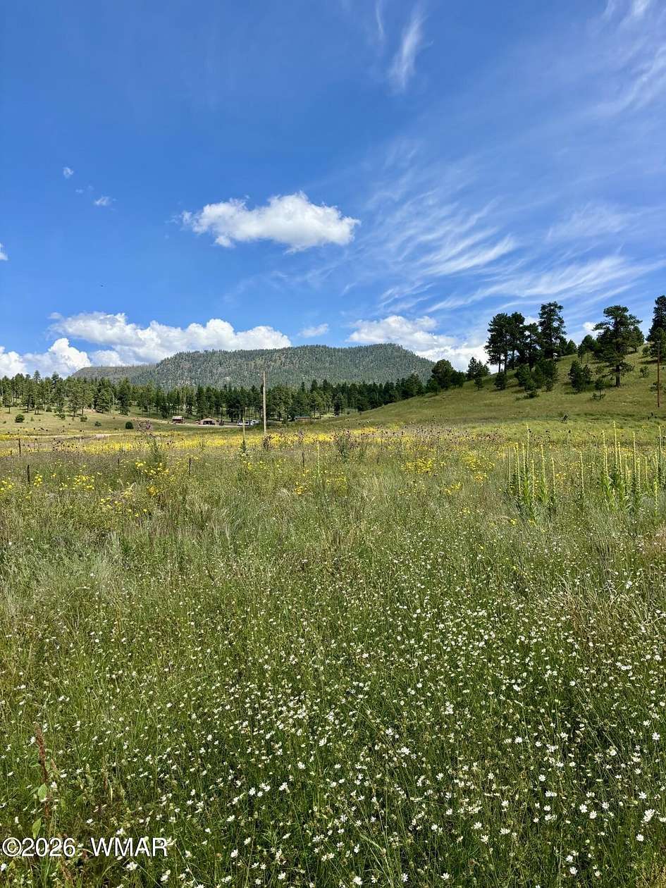 1.68 Acres of Residential Land for Sale in Alpine, Arizona