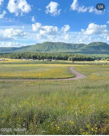 1.68 Acres of Residential Land for Sale in Alpine, Arizona