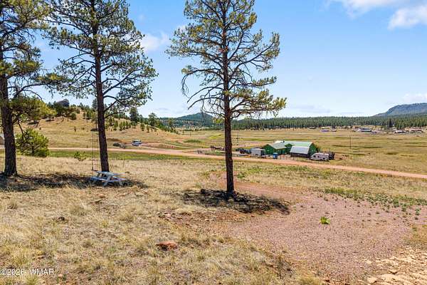 1.68 Acres of Residential Land for Sale in Alpine, Arizona